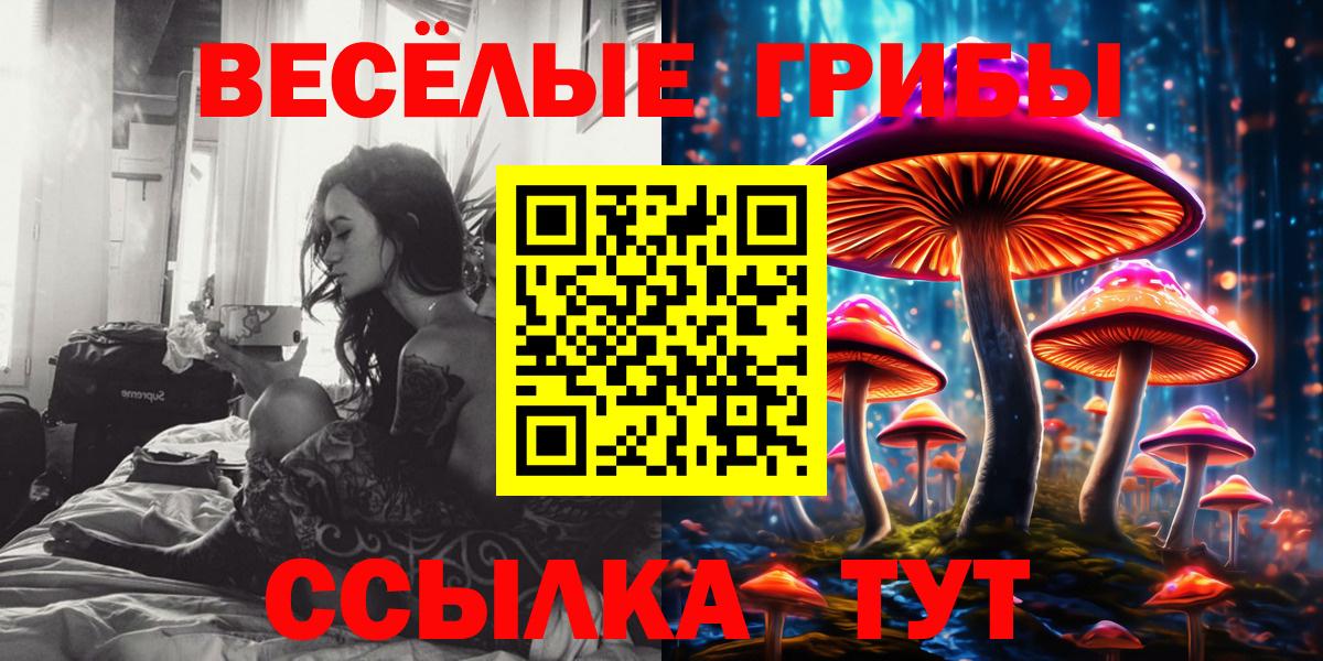 Псилоцибиновые грибы мицелий  Вход с VPN  Крымск 