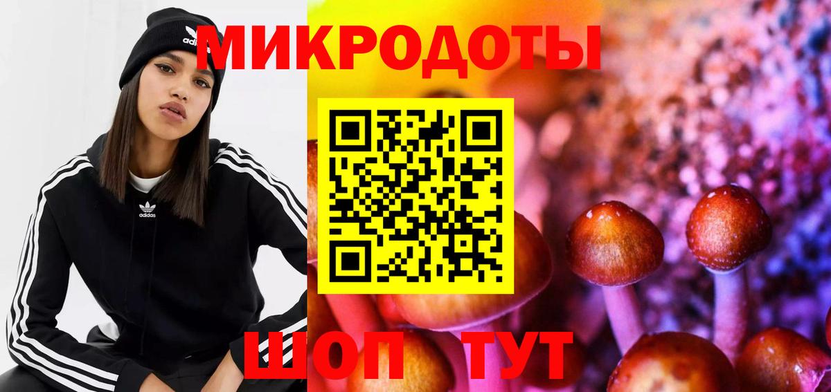 Псилоцибиновые грибы GOLDEN TEACHER Крымск